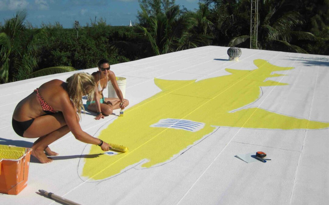 Cool Roof Reflects Summer Heat