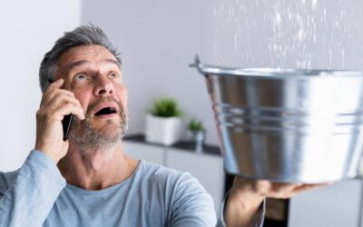 Fix Roof Leaks with Roof Seal Premium & Therm-X Waterproofing